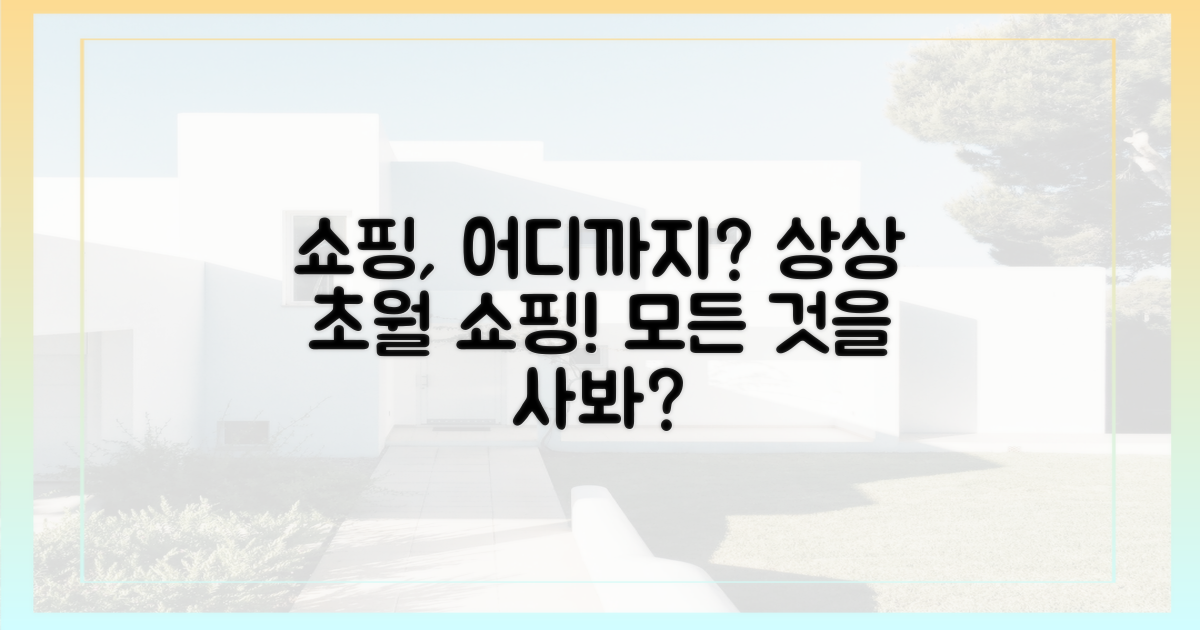 쇼핑, 어디까지 가능할까?