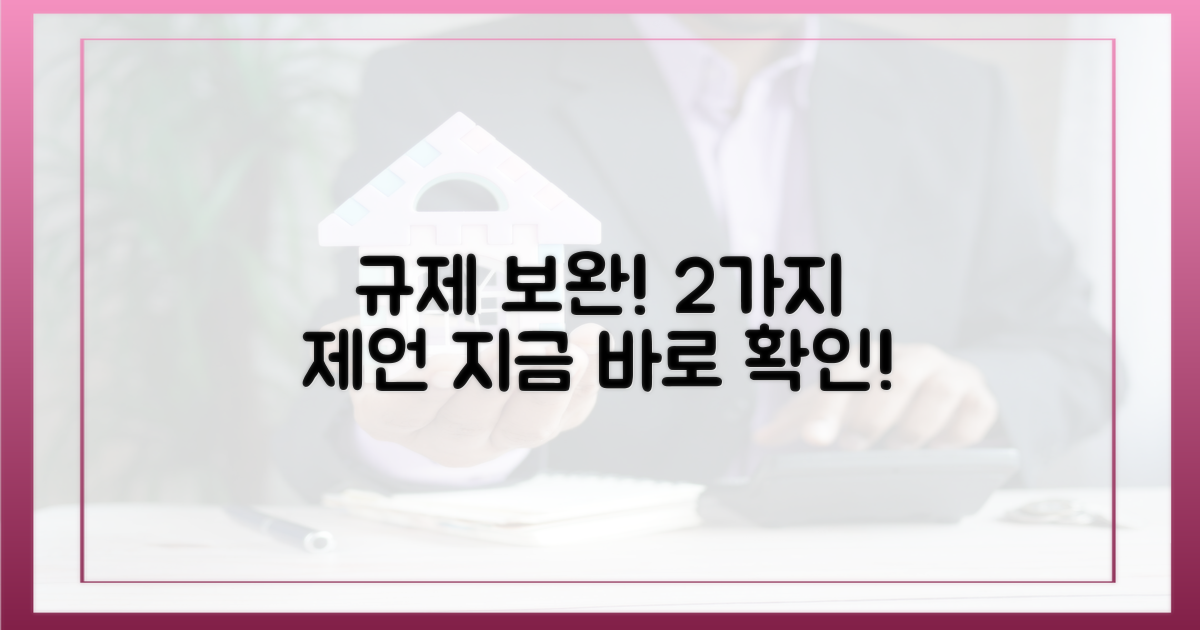 규제 보완점: 2가지 제언