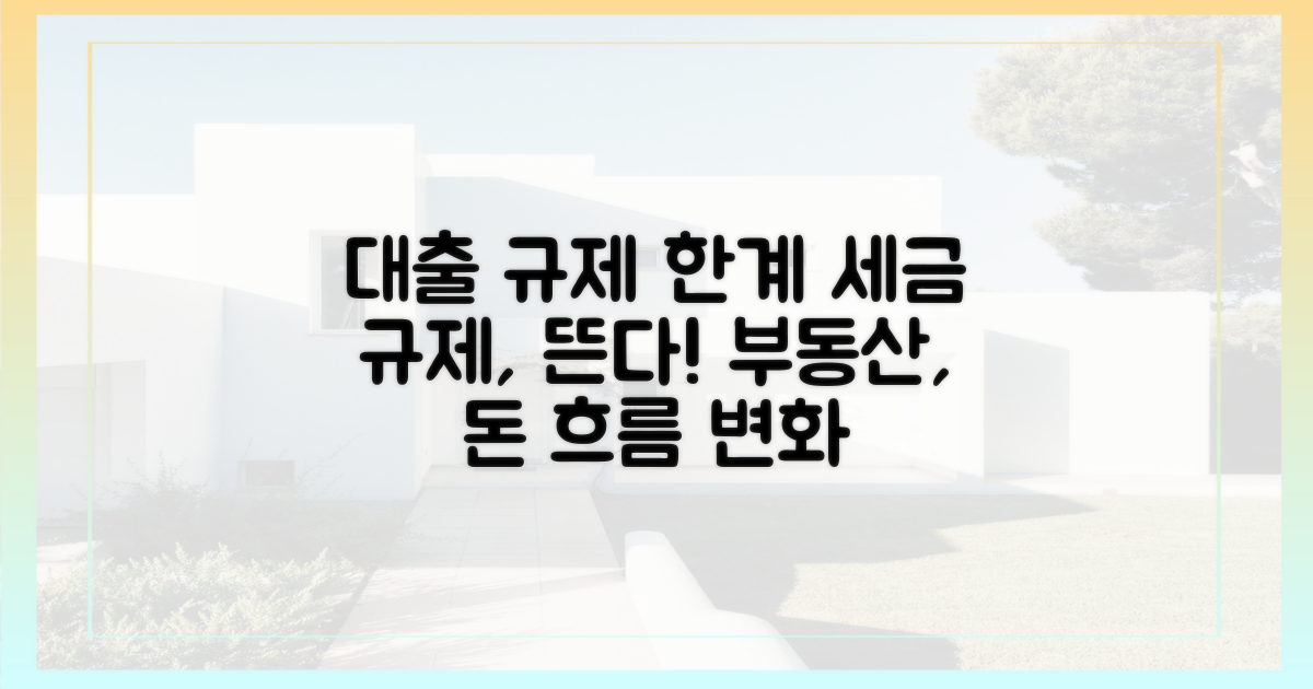 대출 규제의 한계와 세금 규제의 부상