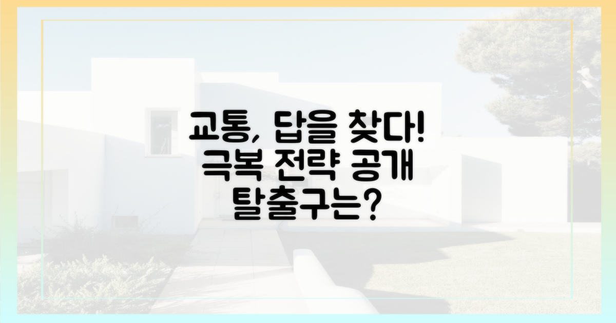 교통, 어떻게 극복할까?
