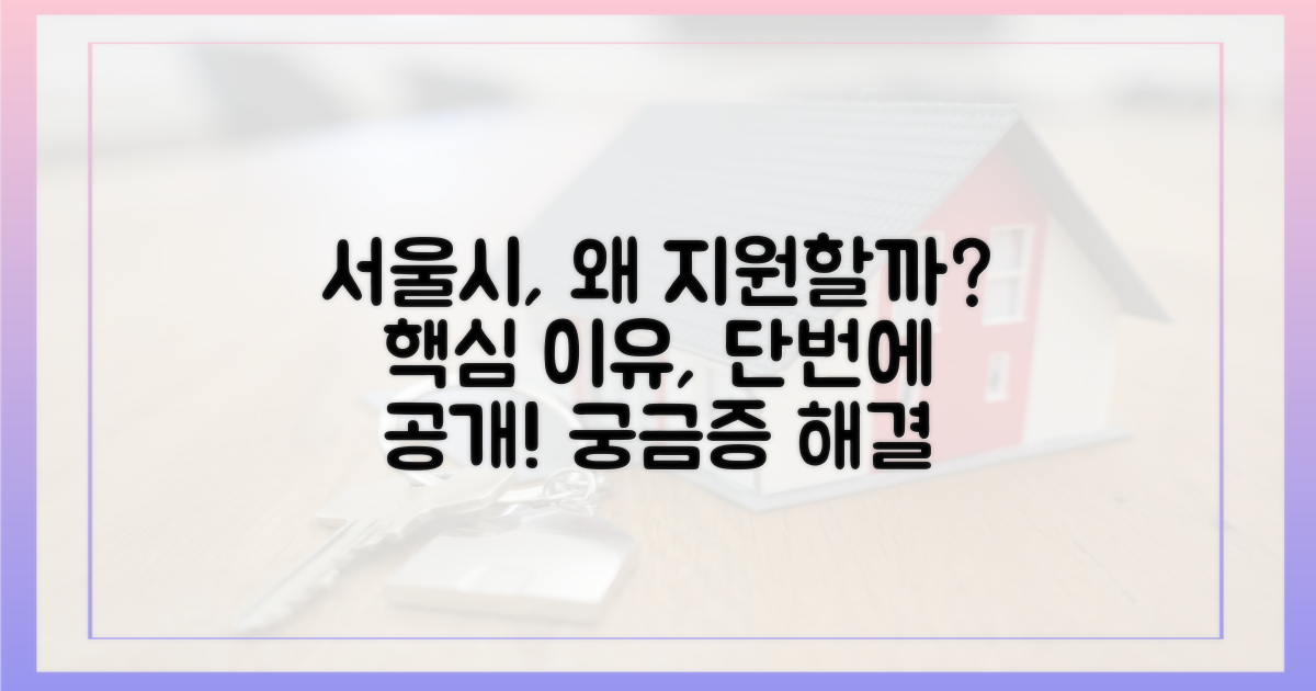 서울시의 지원, 그 이유는?