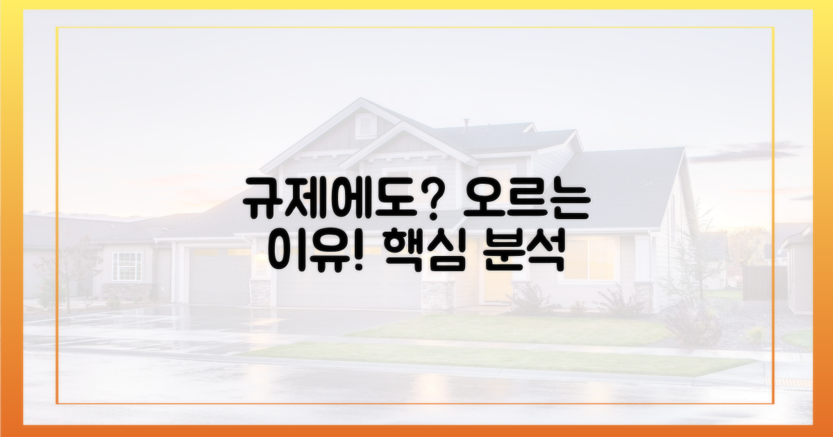 규제 속에서도 오르는 이유?