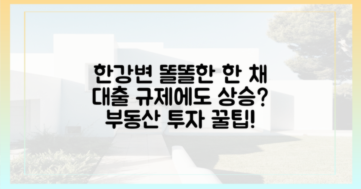 대출 규제에도 오르는 한강변 '똘똘한 한 채'