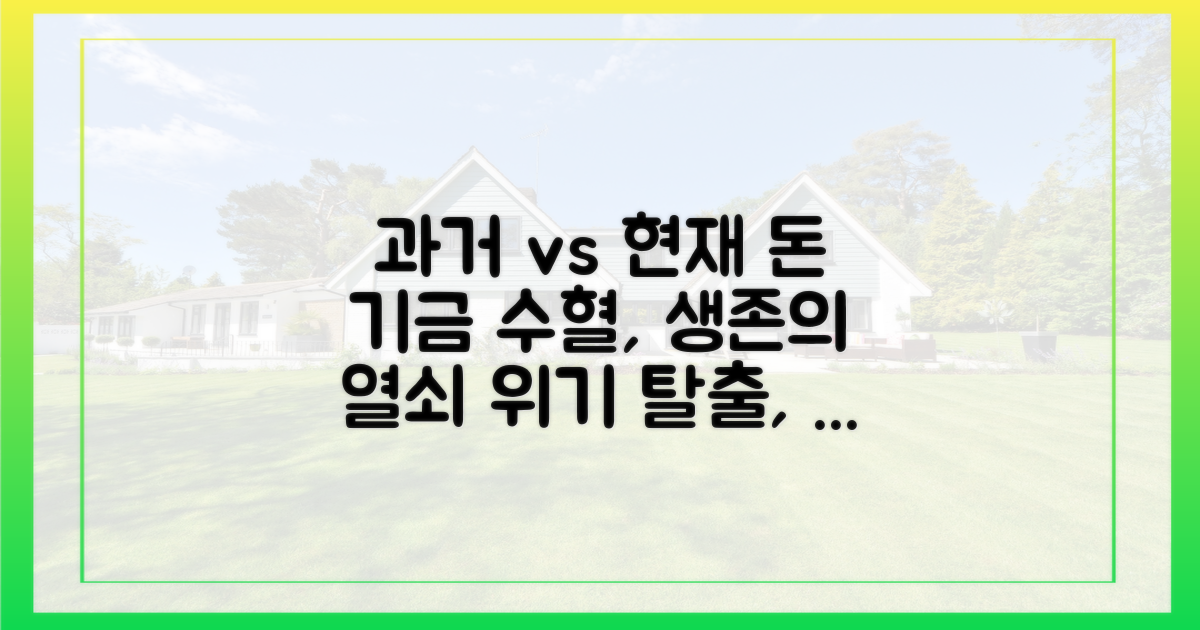 과거 사례와 비교: 기금 수혈의 중요성