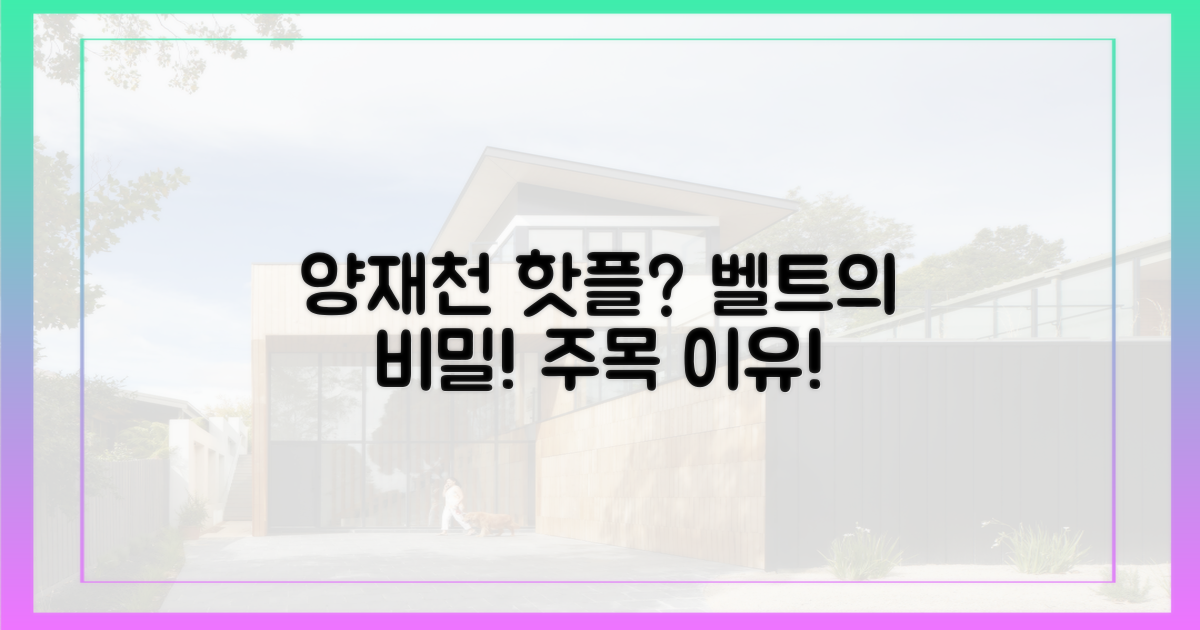 양재천 벨트, 왜 주목받을까?