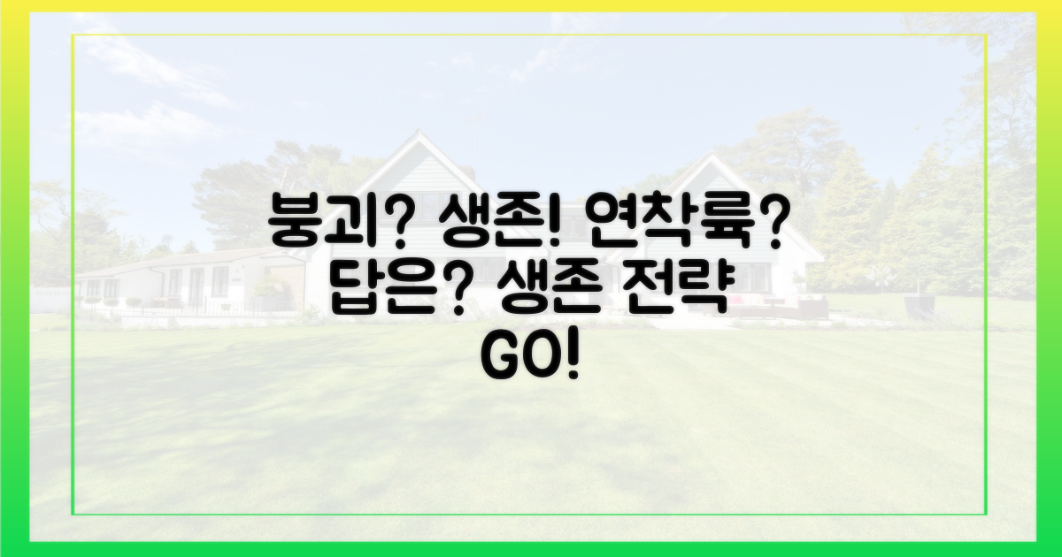 붕괴? 연착륙? 생존 전략