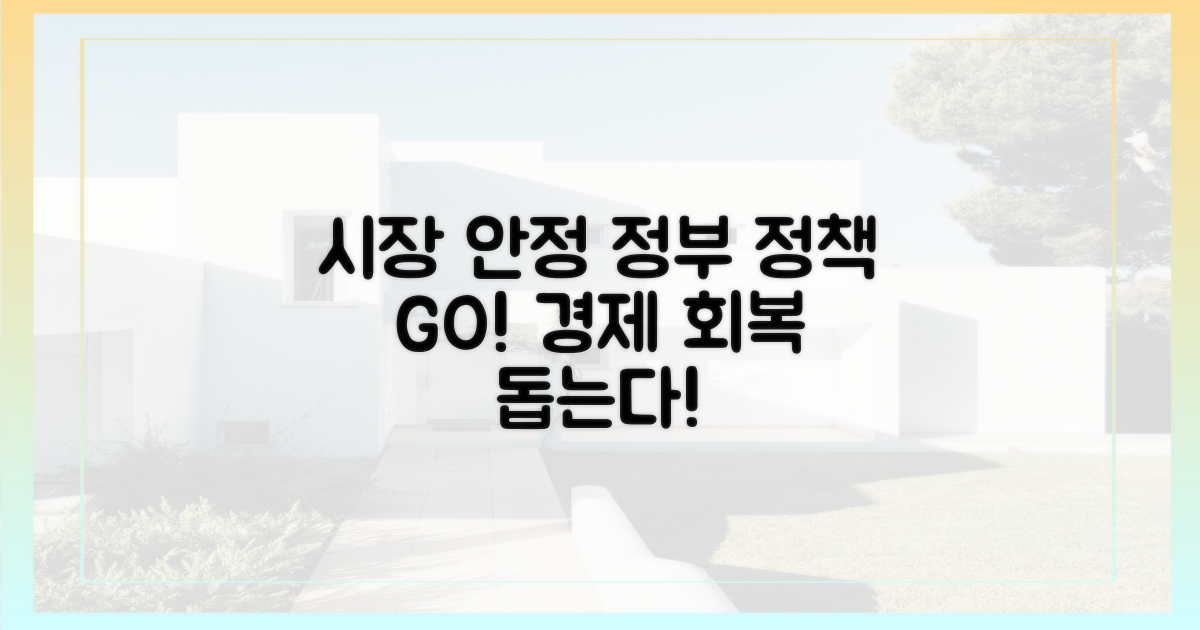 정부 정책: 시장 안정을 위한 노력