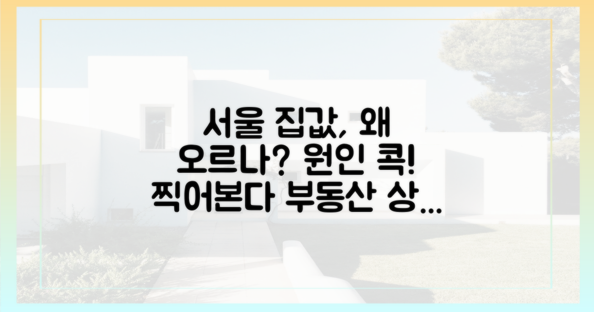 서울 집값 상승의 원인