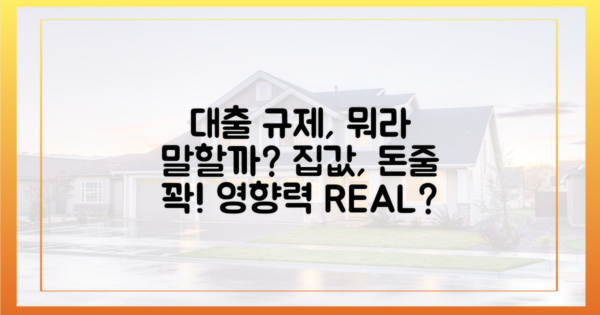 대출 규제가 미치는 영향