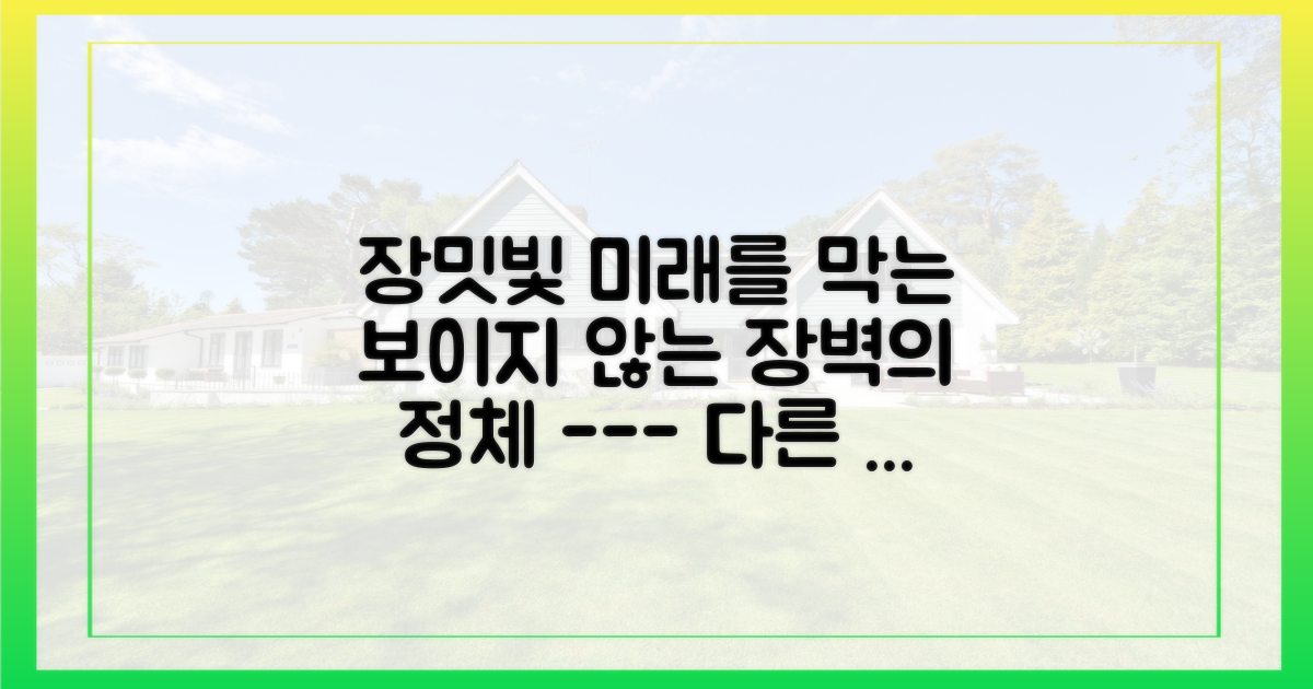 장밋빛 미래와 현실의 제도적 장벽