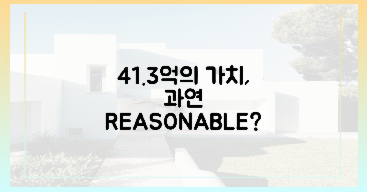 41.3억, 과연 합리적인 가격일까?