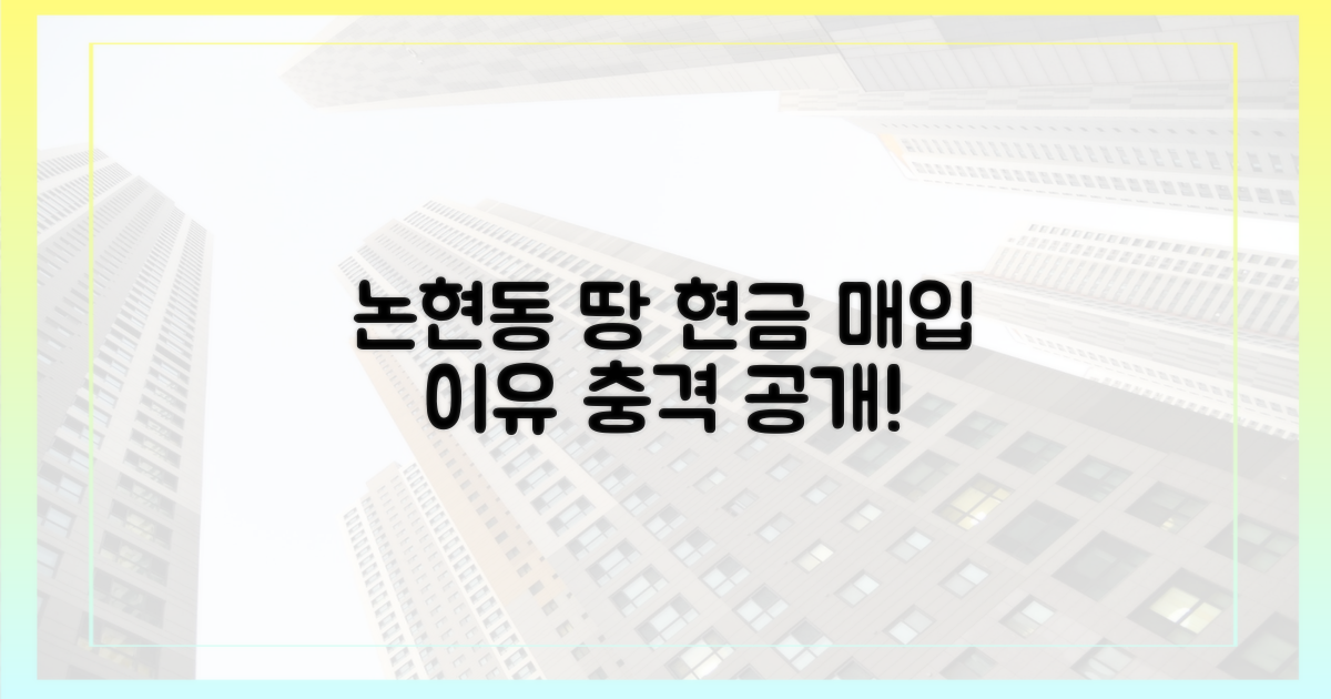 논현동 땅 현금 매입, 그 이유는?