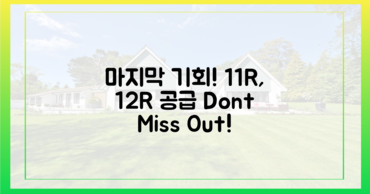 11R·12R 공급, 마지막 기회!