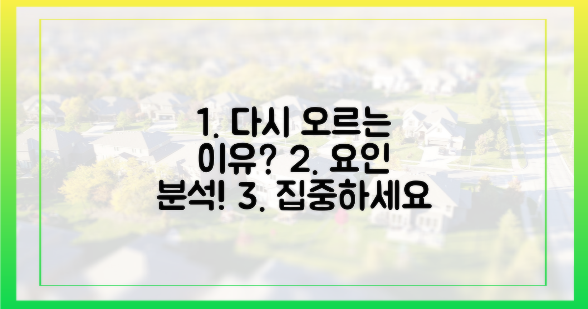 왜 다시 오르는가? 요인은?