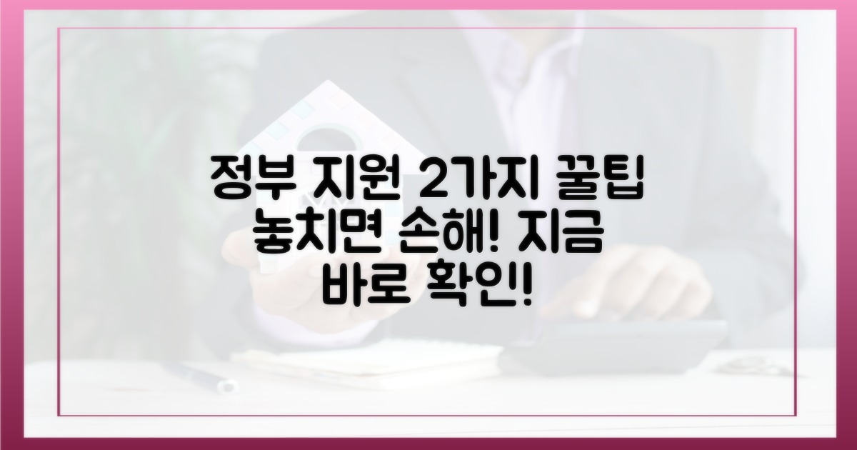 2가지 정부 지원 혜택