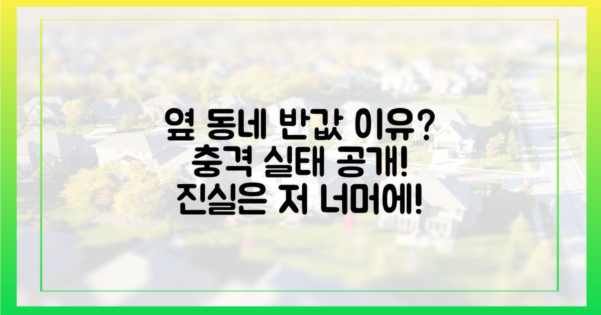 옆 동네는 왜 '반값'이었을까?