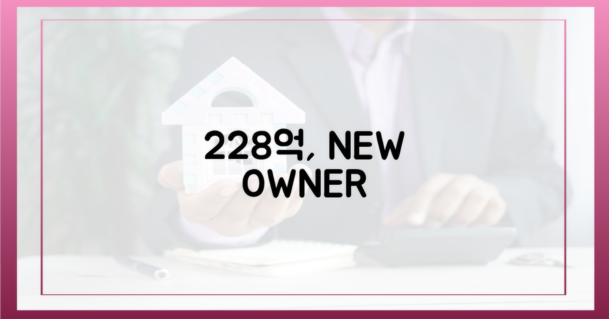 228억, 새로운 주인