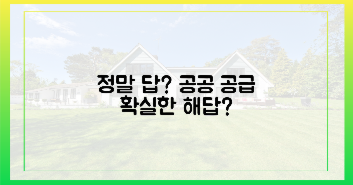 공공 공급, 정말 답일까?