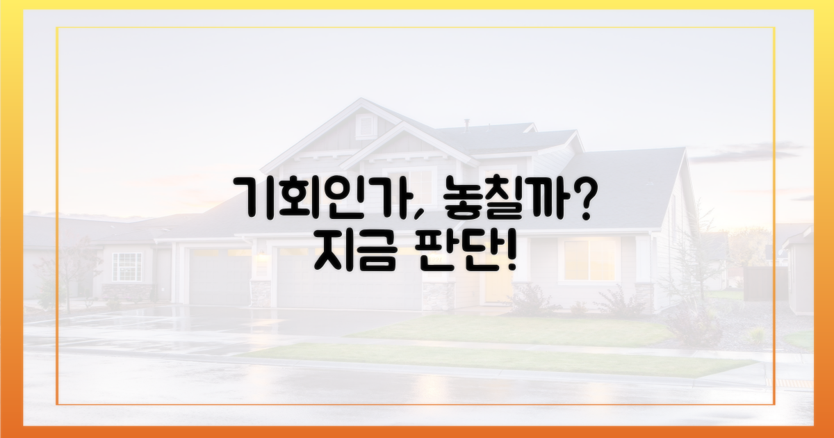 지금이 기회일까, 놓쳐야 할까?