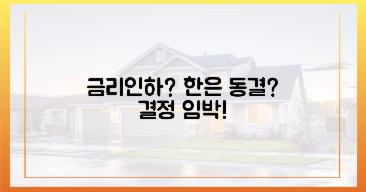 금리인하 vs 한은 인하