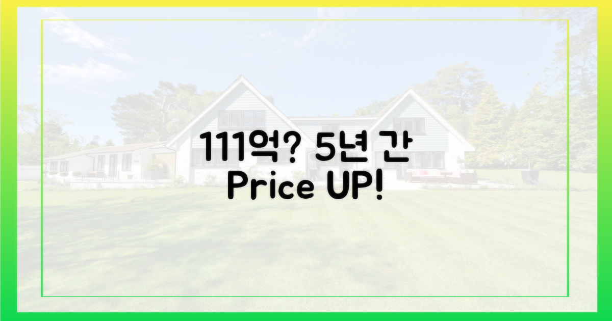 5년 만에 111억? 가격 상승 요인