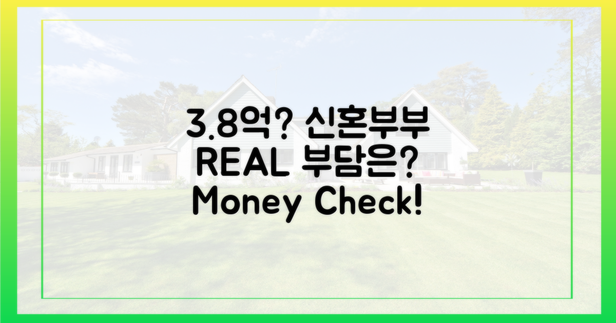 3.8억, 신혼부부 부담은?