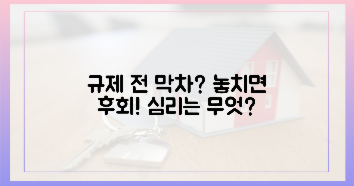 규제 전, 막차 심리는 왜?