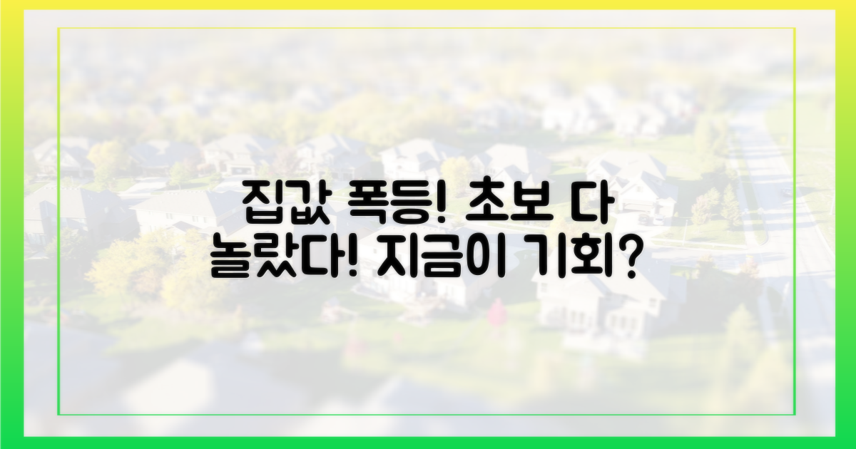 초보 놀라게 한 집값 폭등 현상
