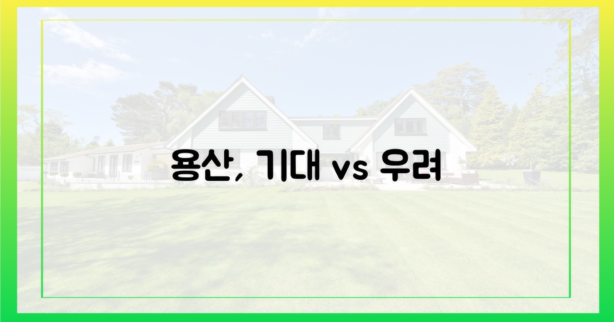 용산전자상가, 기대와 우려