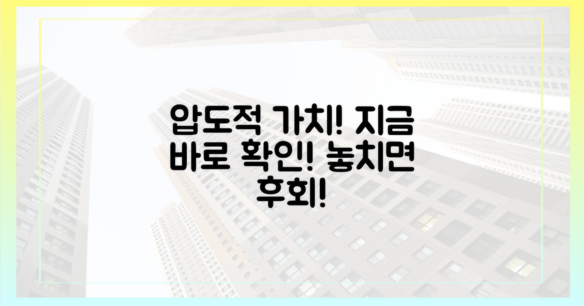 압도적 가치, 지금 확인하세요!