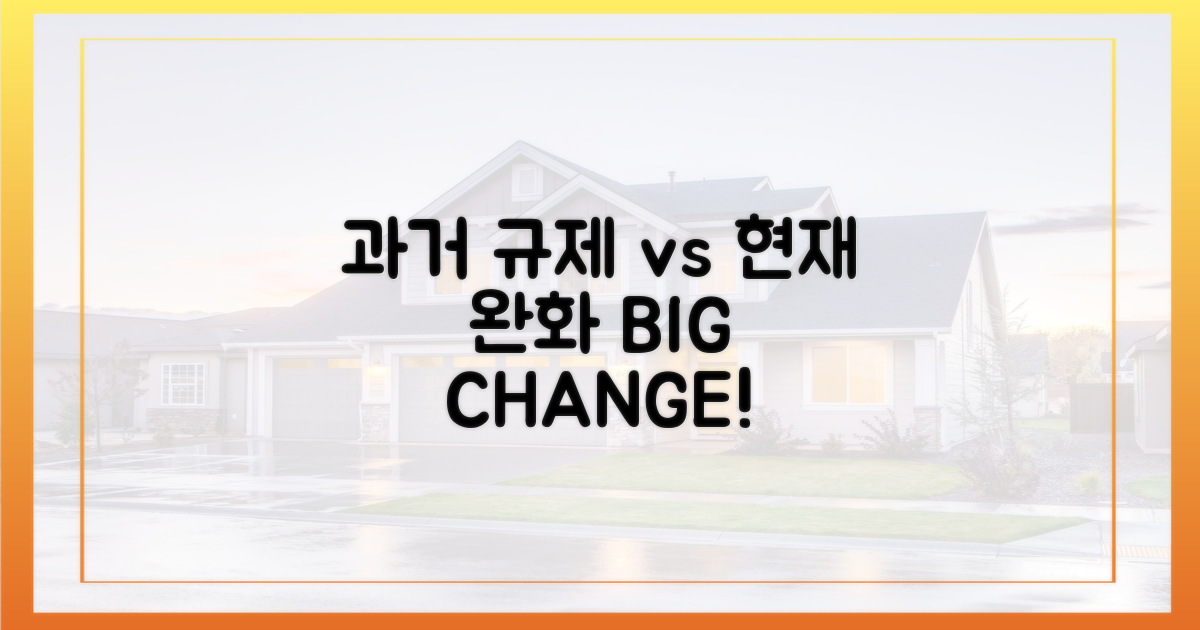 과거 규제 vs 현재 완화