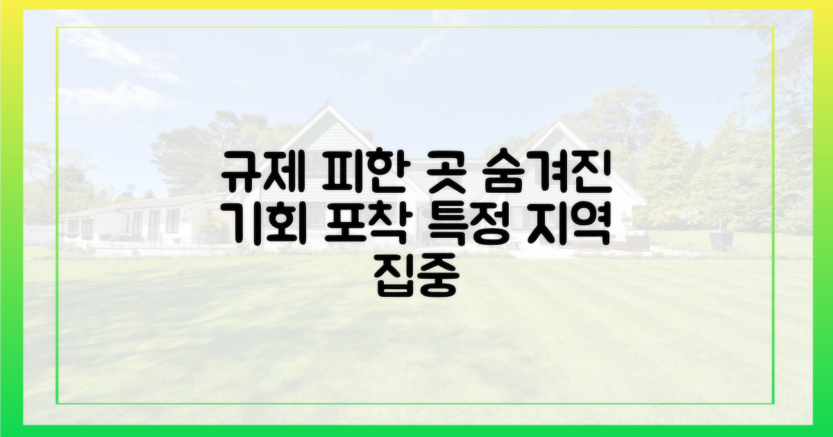 규제 비켜간 특정 지역 주목