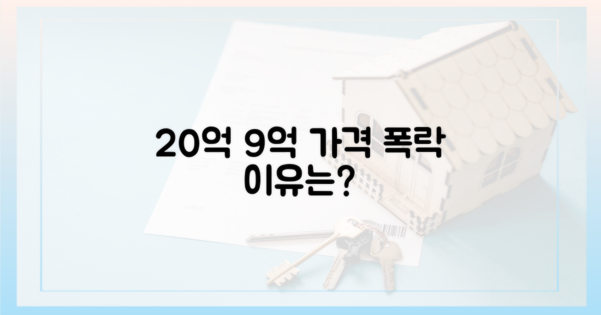 20억 → 9억, 가격 하락 원인