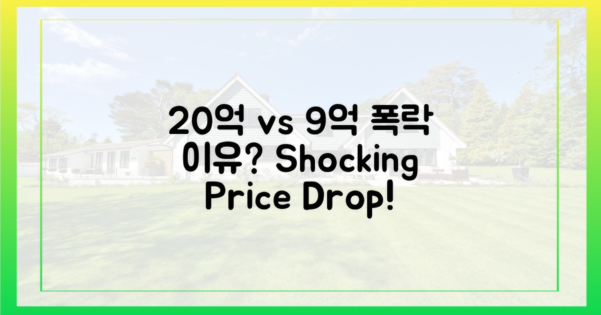 20억 vs 9억, 가격 폭락 이유