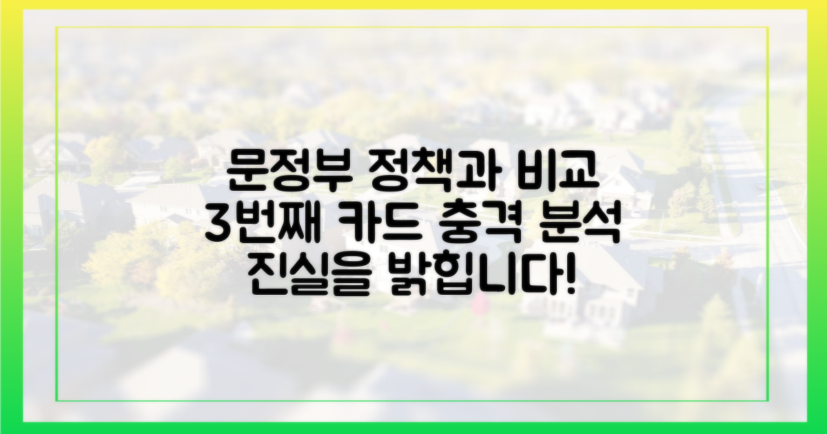 3번째 카드, 문정부 대책과 비교