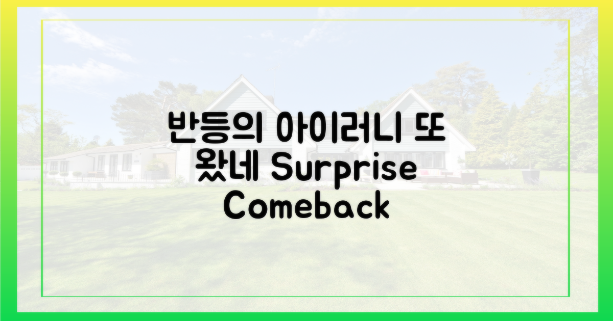 반등의 아이러니, 또 왔네