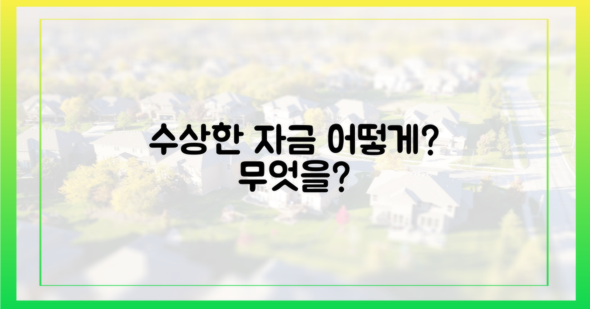 수상한 자금 출처, 무엇을?