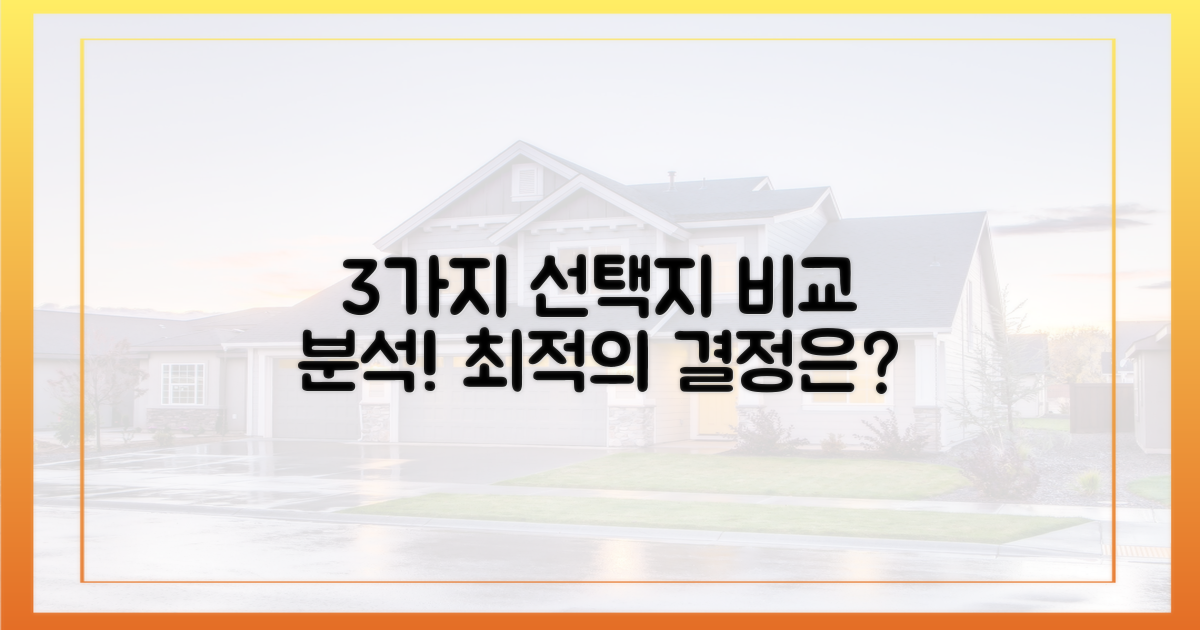 3가지 선택지 비교 분석