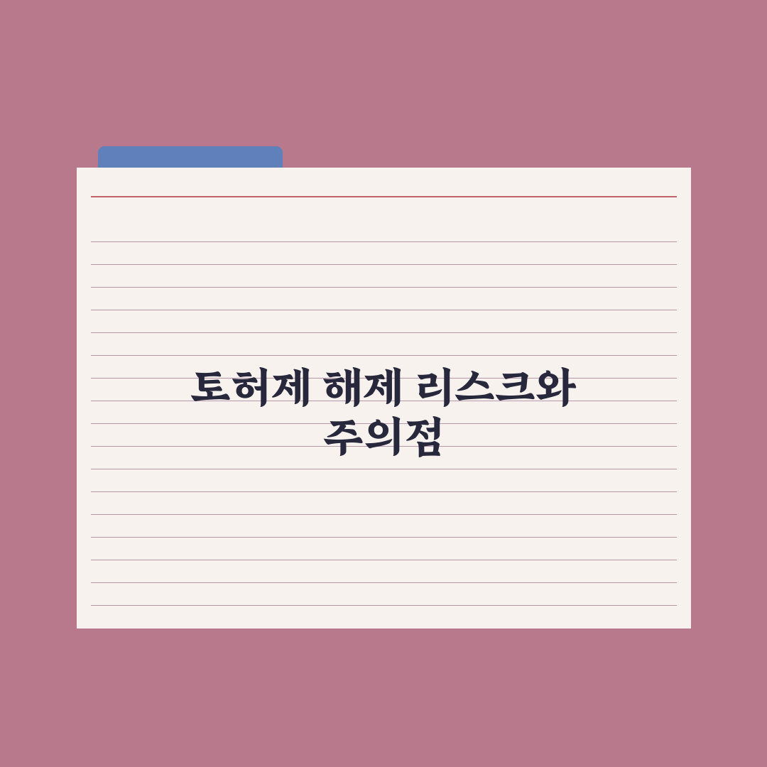 서울 강남권 빼고 토허제 풀어야 전·월세 안정된다 심층분석, 3대 포인트